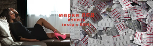 гидропоника Алзамай