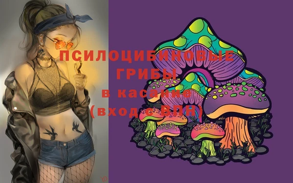 гидропоника Алзамай